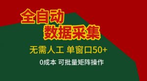 全自动数据采集，无需人工，单窗口50+，0成本可批量矩阵操作【揭秘】-网创项目总站