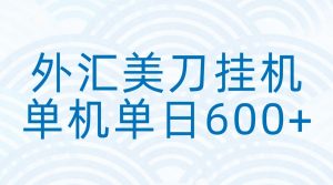 外汇美刀挂机：全自动挂机赚美金，单机600+-网创项目总站