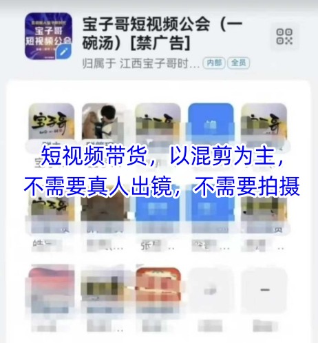 宝子哥头部团队短视频带货，以混剪为主，不需要真人出镜，不需要拍摄【更新26年1月】-网创项目总站