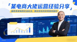 某电商大佬运营经验分享，最新系统电商实战玩法，跳出低毛利实现高效盈利-网创项目总站