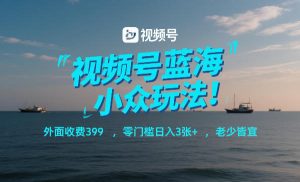 视频号蓝海小众玩法！外面收费399，零门槛日入3张+，老少皆宜-网创项目总站