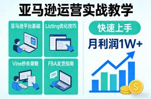 亚马逊运营实战教学，亚马逊平台+Listing优化+Vine秒杀+FBA发货等，快速上手，实现店铺月利润1W-网创项目总站