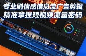 专业剧情感信息流广告剪辑，精准拿捏短视频流量密码-网创项目总站