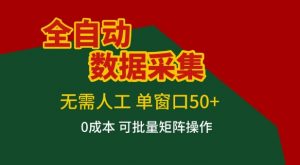 全自动数据采集项目，无需人工，单窗口可达50+收益，操作简单无难度，一个人也能轻松实现矩阵【揭秘】-网创项目总站