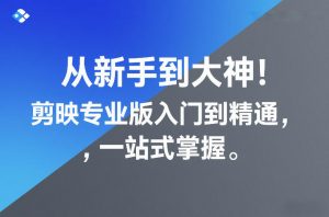 从新手到大神！剪映专业版入门到精通，一站式掌握-网创项目总站
