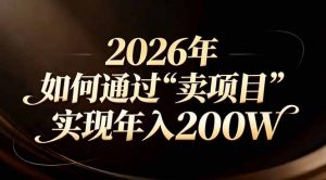站在2026年的十字路口：一个普通人如何通过卖项目实现年入200万-网创项目总站