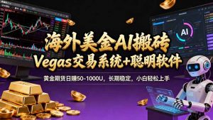 海外美金操盘手技术，Vegas交易技术+聪明软件，日赚50-1000U，长期稳定，小白轻松上手。-网创项目总站