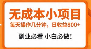 无成本小项目 每天操作几分钟，真实日收益800+ 副业必看 小白必做！-网创项目总站