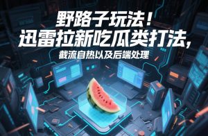 野路子玩法！迅雷拉新吃瓜类打法，截流自热以及后端处理-网创项目总站