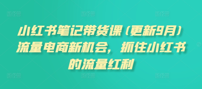 小红书笔记带货课，流量电商新机会，抓住小红书的流量红利(更新26年2月)-网创项目总站