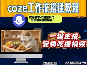 通过Coze工作流，制作宠物吃播视频，几分钟制作一个视频，从0到1演示搭建过程-网创项目总站