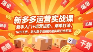 拼多多运营实战课，新手入门+运营进阶、爆单打法，16节干货，助力新手店铺快速实现日出百单-网创项目总站