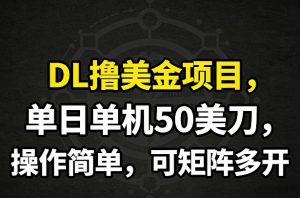 DL撸美金项目，单日单机50美刀，操作简单，可矩阵多开-网创项目总站