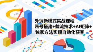 外贸新模式实战课程-更新2月，账号搭建+截流技术+AI矩阵+独家方法实现自动化获客-网创项目总站