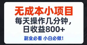 无成本小项目,每天操作几分钟,日收益800+ 副业必看 小白必做！-网创项目总站