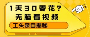 1天30零花？无脑看视频，大佬亲自揭秘-网创项目总站