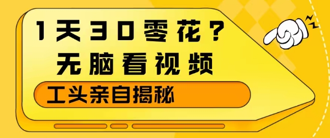 1天30零花？无脑看视频，大佬亲自揭秘-网创项目总站