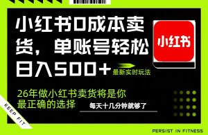 小红书0成本AI卖货，单账号轻松日入500+，完全托管AI，可矩阵放大-网创项目总站