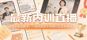 最新内训直播，4天系统教学，一线实战派干货核心玩法全套复盘-网创项目总站
