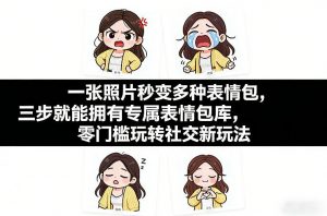 一张照片秒变多种表情包，三步就能拥有专属表情包库，零门槛玩转社交新玩法【文档】-网创项目总站