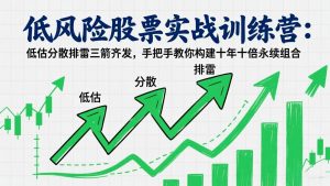 低风险股票实战训练营：低估分散排雷三箭齐发，手把手教你构建十年十倍永续组合-网创项目总站