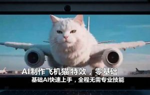 AI制作飞机猫特效，零基础AI快速上手，全程无需专业技能-网创项目总站