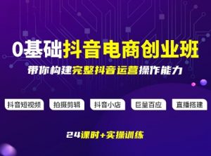 某电商学院0基础抖音电商创业班，带你构建完整抖音运营操作能力-网创项目总站