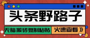 头条单账号日收益300+野路子玩法赛道，无脑搬砖复制粘贴，保姆级教程-网创项目总站