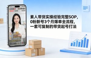 素人短视频带货实操经验完整SOP，0粉新号3个月爆单全流程，一套可复制的带货起号打法-网创项目总站