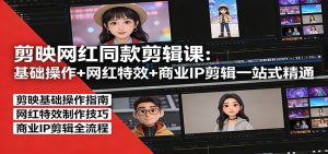剪映网红同款剪辑：基础操作+网红特效+商业IP剪辑一站式精通-网创项目总站