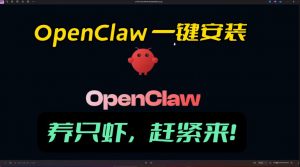 openclaw安装教程和资料，10分钟搞定，一切，让你轻松拥有龙虾-网创项目总站