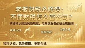 老板财税必修课：不懂财税怎么管公司？从税种认知到风险规避，电商创业者必备合规指南-网创项目总站