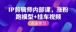 IP剪辑师内部课，涨粉跑模型+挂车视频(更新)-网创项目总站