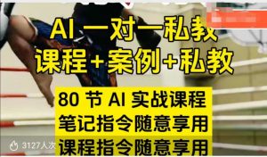 AI指令实战课，课程+案例，80节AI实战课程，笔记指令随意享用，课程指令随意享用(更新26年3月)-网创项目总站