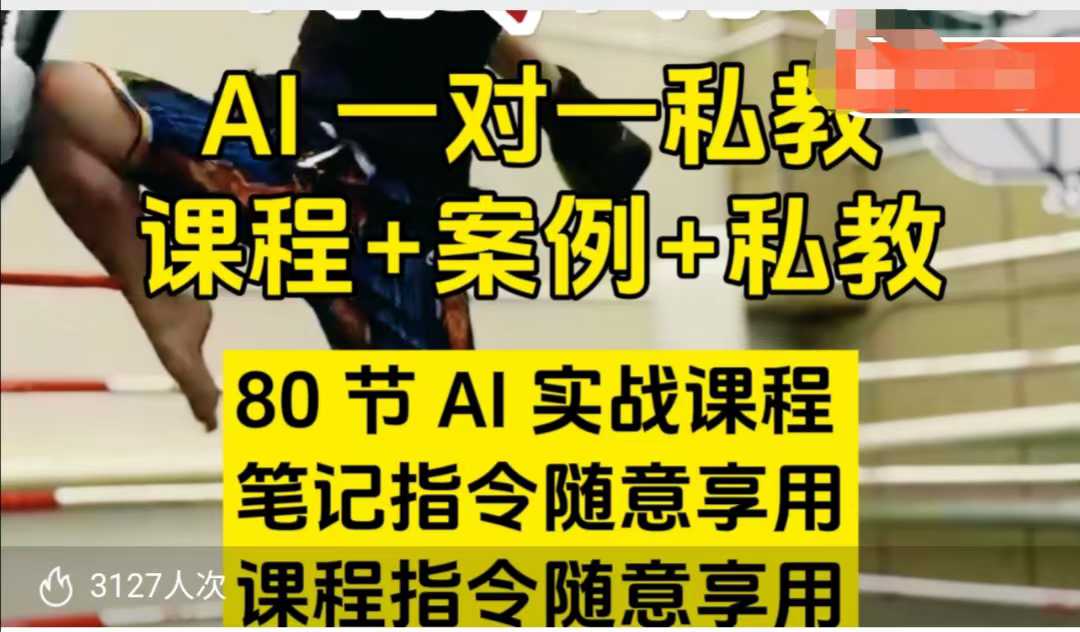 AI指令实战课，课程+案例，80节AI实战课程，笔记指令随意享用，课程指令随意享用(更新26年3月)-网创项目总站