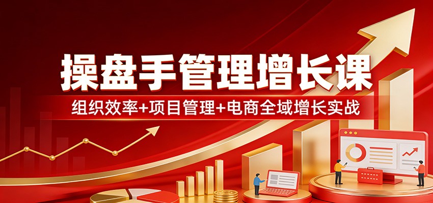 操盘手管理增长课：组织效率+项目管理+电商全域增长实战-网创项目总站