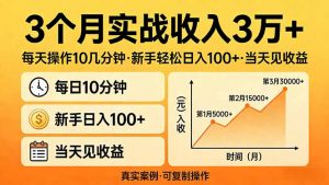 3个月实战收入3万+，每天操作10几分钟，新手轻松日入100+，当天见收益-网创项目总站