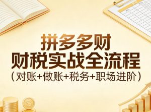 拼多多财税实战全流程(对账+做账+税务+职场进阶)-网创项目总站