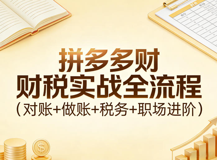 拼多多财税实战全流程(对账+做账+税务+职场进阶)-网创项目总站
