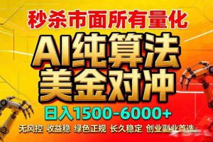 2026全网首发黑马项目，AI美金算法对冲，日入2000-6000+，稳定长效0风险，彻底告别996死工资-网创项目总站
