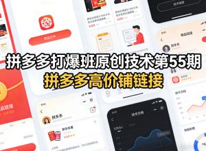 拼多多打爆班原创技术第55期，拼多多高价铺链接-网创项目总站