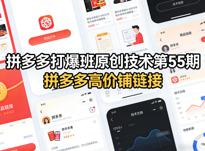 拼多多打爆班原创技术第55期，拼多多高价铺链接-网创项目总站