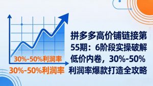 拼多多高价铺链接第55期：6阶段实操破解低价内卷，30%-50%利润率爆款打造全攻略-网创项目总站