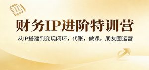 财务IP进阶特训营：从IP搭建到变现闭环，代账，做课，朋友圈运营-网创项目总站