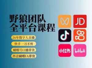 野狼团队2026新版全平台短视频带货教学，打开流量突破口，开始Ai带货(更新26年3月)-网创项目总站