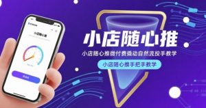 小店随心推微付费撬动自然流投手教学，小店随心推手把手教学(更新26年)-网创项目总站