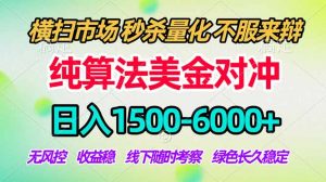 2026美金掘金新风口-纯算法对冲震撼上线！日入1500-6000+，长久合规稳健，轻松摆脱死工资-网创项目总站