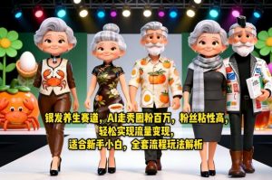 银发养生赛道，AI走秀圈粉百万，粉丝粘性高，轻松实现流量变现，适合新手小白，全套流程玩法解析-网创项目总站
