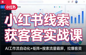 小红书线索获客实战课，AI工作流自动化+矩阵+搜索流量霸屏，拉爆客资-网创项目总站