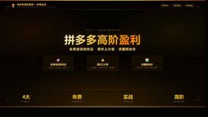 拼多多高阶盈利年费会员(更新3月31-网创项目总站